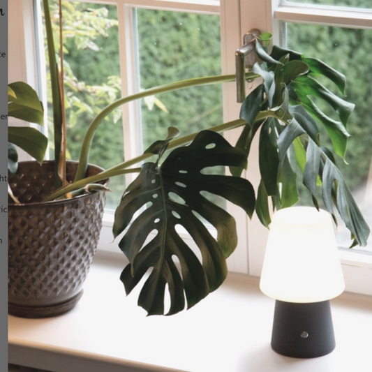 Led tafellamp outdoor/indoor wit-zwart